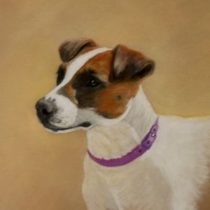 Ljubljana Commission