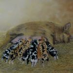 Kui Kuni with Multicoloured Piglets