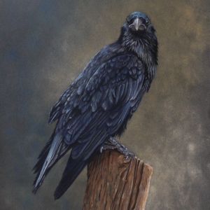 The Raven, guardians of the Tower 1