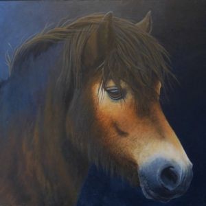Exmoor Pony