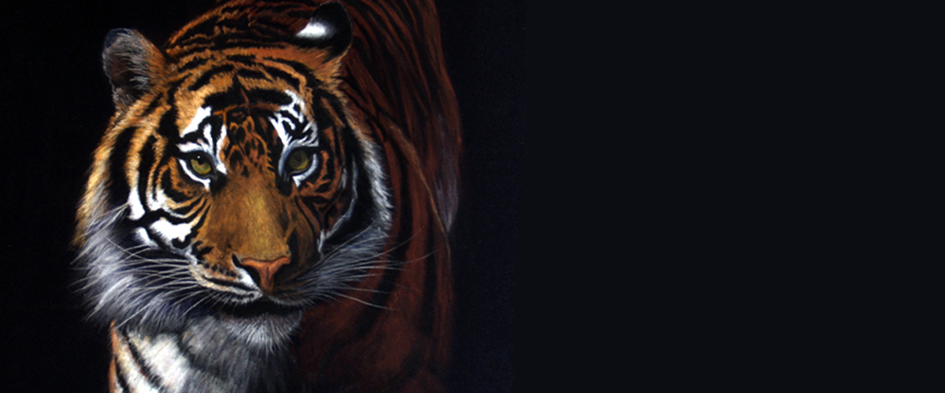 Striking Animal Portraits